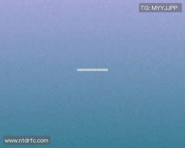 篮球明星海月龙宫的传奇之路与辉煌成就探秘